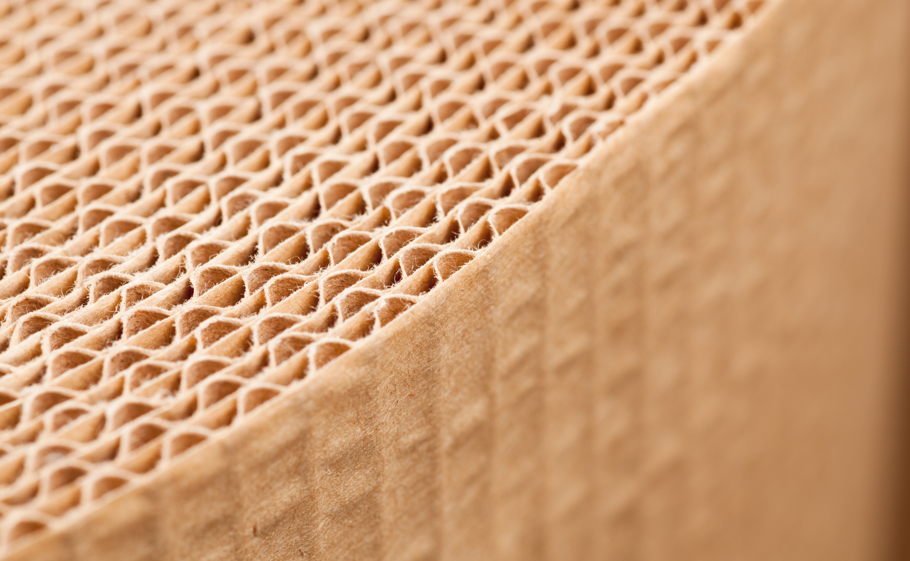 Roll of corrugate with detail of fluting.